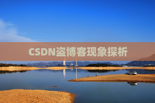 CSDN盗博客现象探析